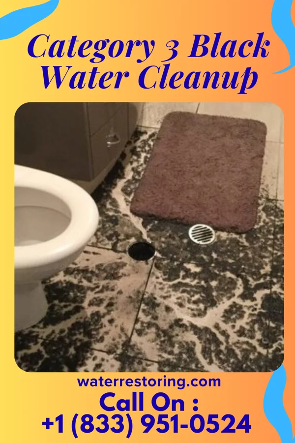 Category 3 Black Water Cleanup in Long Lake, MN